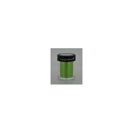Transfer Foil 47 Vert Pomme (150Cm X3Cm)