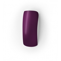 Vernis Permanent N°100 Mauve Foncé