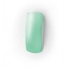 Gel Color Uv 5 ML N°0570 Phantom