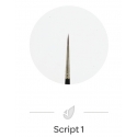 Pinceau Nail Art Script 1