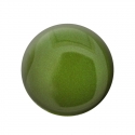 Gel Color Uv N°1170 Pearl Green Jungle 5Ml